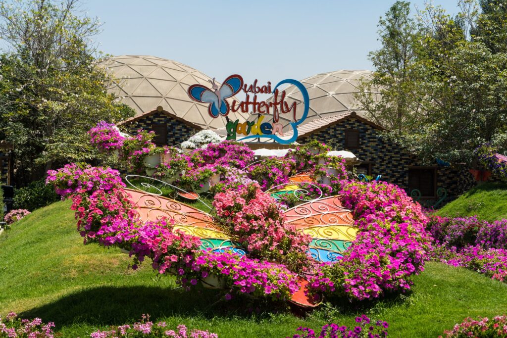 Dubai-Butterfly-Garden