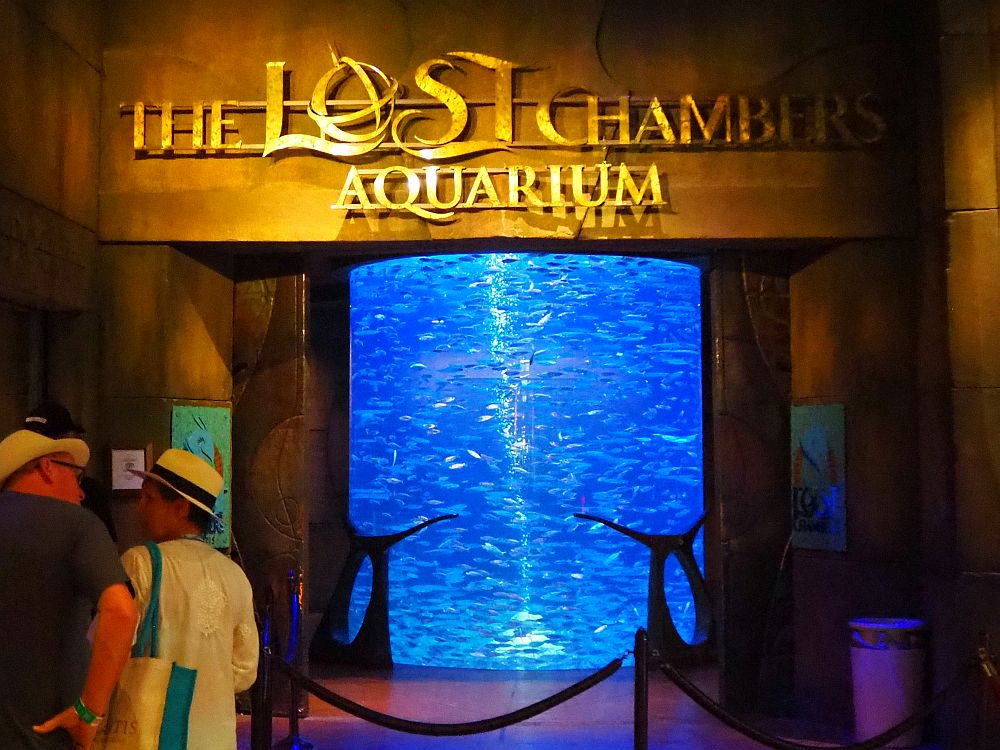 Lost-Chambers-aquarium