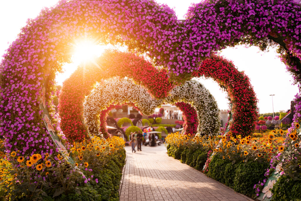 dubai-miracle-garden