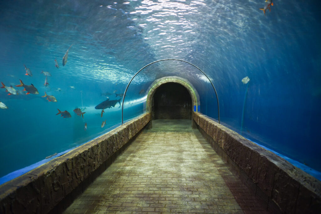 Dubai Aquarium and Underground Zoo